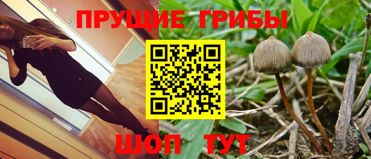 Псилоцибиновые грибы MAGIC MUSHROOMS  Псилоцибиновые грибы Cubensis  Вход с VPN  Нарьян-Мар 