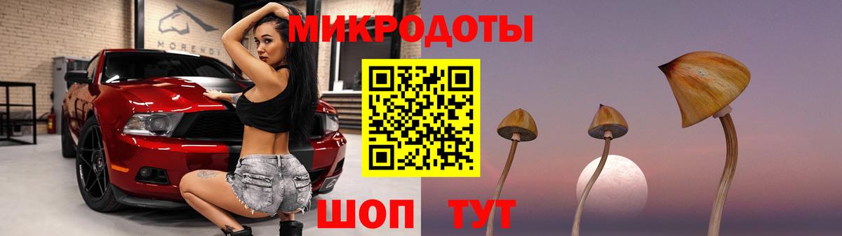 Галлюциногенные грибы Psilocybine cubensis Нарьян-Мар